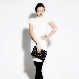 Lt-female-2011-spring-women-s-new-arrival-wool-long-design-turtleneck-short-sleeve-dress