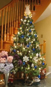 blue-silver-tree