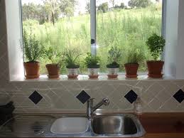 Indoor gardening - How to grow herbs inside