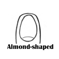 nail-shape-personality-test-almond-shaped