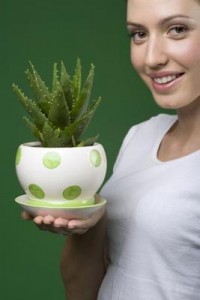 aloe-skin-care-the-benefits-that-you-should-know-21600321